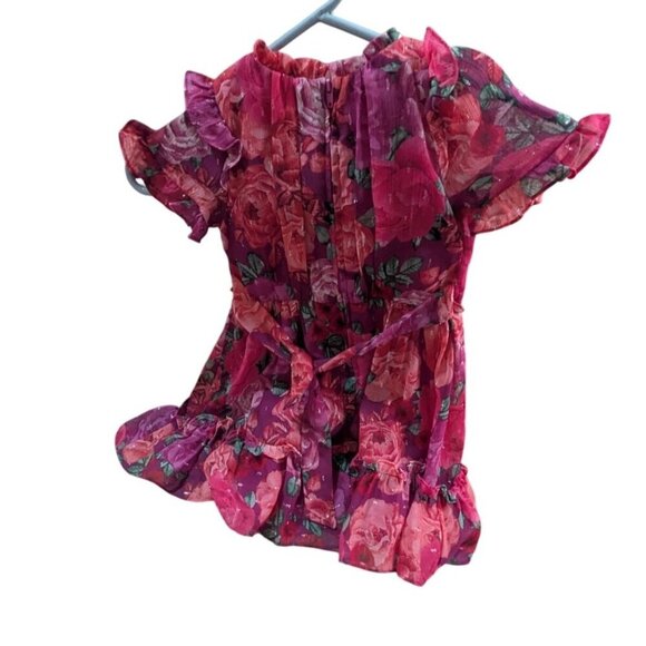 Wonder Nation Girls Metallic Chiffon Dress, size 4 pink short sleeve - Picture 4 of 8